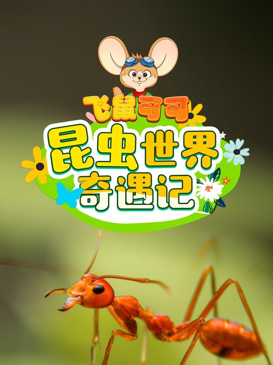 飞鼠可可昆虫世界奇遇记