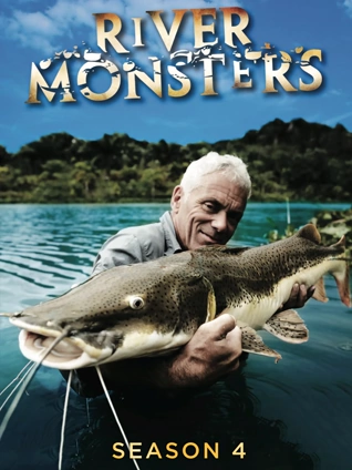 小鸟酱系列网站视频