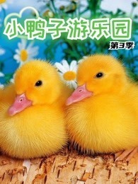 小鸭子游乐园 第3季