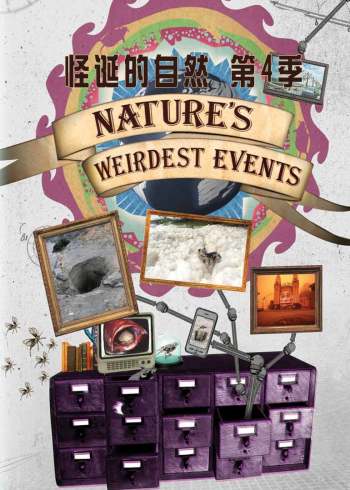 怪诞的自然 4