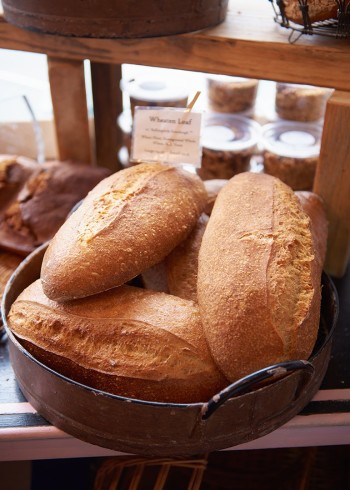 瑞秋的海岸烹饪