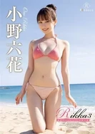 小野六花-Rikka3夏空的降雪